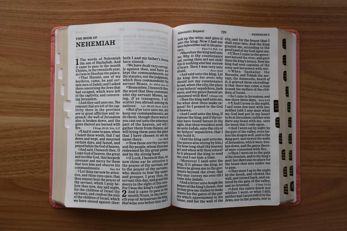 Soft Pink LeatherTouch KJV Bible