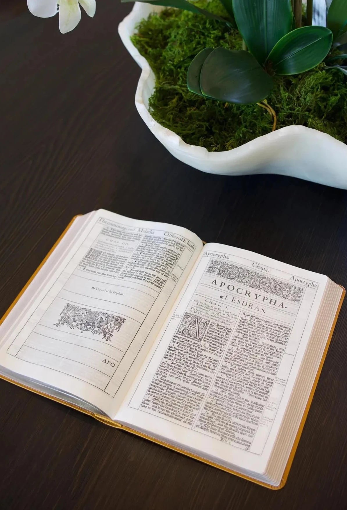 LIMITED EDITION: Gold Softcover 1611 Holy Bible Facsimile with Apocrypha - 1st Edition